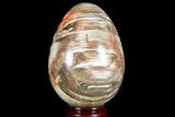 Colorful, Polished Petrified Wood Egg - Triassic #74737-1